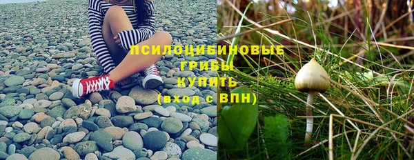 кокаин перу Белокуриха
